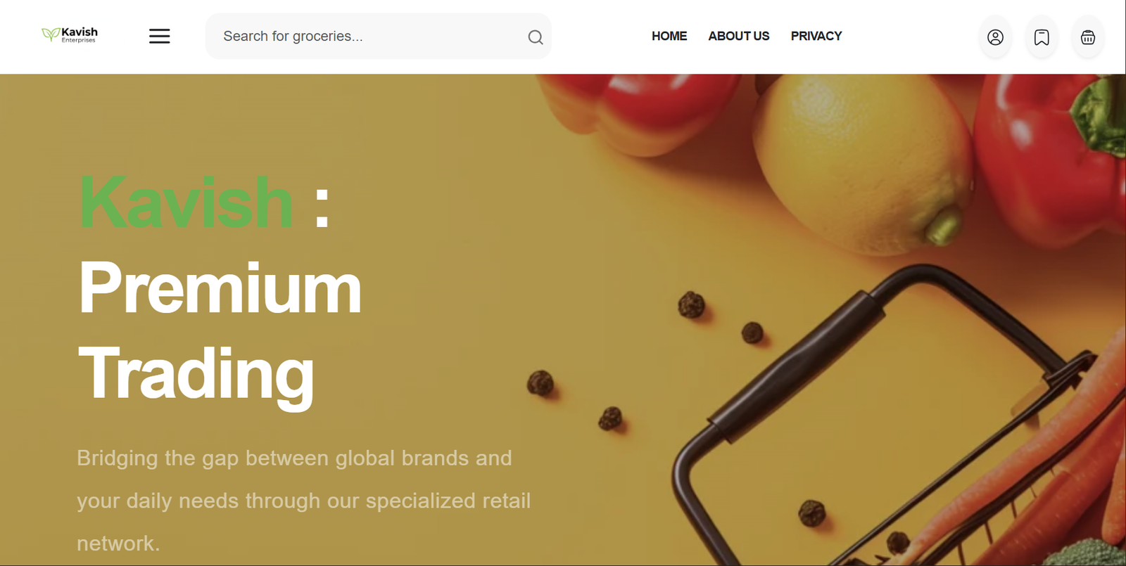 Production Visual Build View: Kavish Website